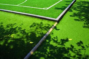 ombre de arbre et tomber feuille sur le artificiel herbe Football champ photo