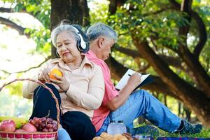 asiatique personnes âgées couple pique-nique dans le parc elles ou ils Sam sur le herbe et avait paniers de fruit et pain mensonge suivant à eux. elles ou ils sont profiter leur vacances. le concept de vivant dans retraite à être heureux. photo