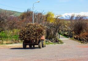 vieux ferme tracteur, tracteur dans le campagne photo