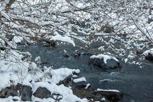 du froid hiver paysage photo