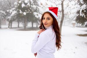 jolie fille dans hiver forêt, Jeune femme dans hiver parc photo