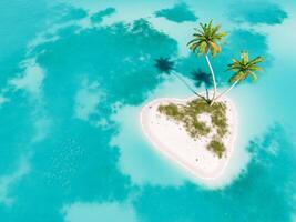 cœur en forme de île avec paume des arbres dans turquoise des eaux photo