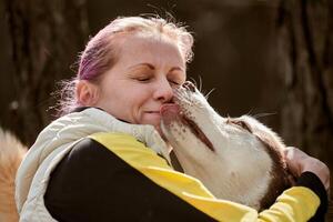 chien husky sibérien embrassant une femme aux cheveux roses, véritable amour de l'homme et de l'animal de compagnie, rencontre amusante photo