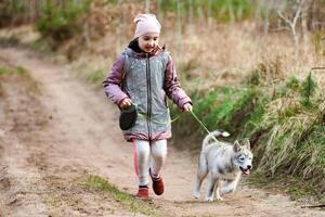 fille qui marche en laisse chiot husky sibérien sur une route de campagne au fond de la forêt photo