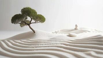 ai généré Zen jardin spectacle une minimaliste Zen jardin avec ratissé le sable lisse des pierres et bonsaï des arbres comme Quelqu'un les pratiques assise méditation ou des promenades consciemment le long de une gravier chemin photo