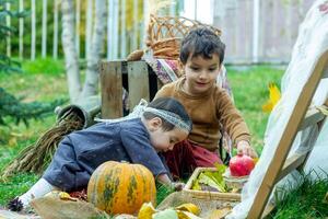 le peu les enfants sont en jouant dans le parc avec des fruits, peu fille et garçon dans le l'automne parc photo