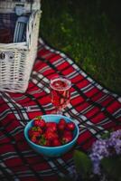 des fraises dans une bol et une verre de Rose du vin sur une pique-nique couverture photo