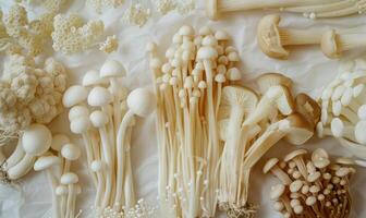 ai généré champignon, shimeji, enoki champignon sur blanc Contexte photo