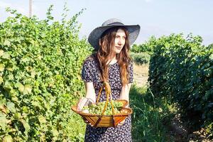 jolie Jeune femme dans le la nature photo