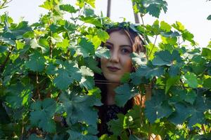 jolie Jeune femme dans le la nature photo