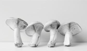 ai généré groupe de champignons sur une blanc Contexte. fermer. monochrome. photo