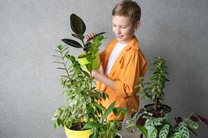 une mignonne garçon est en train d'étudier intérieur vert végétaux, soins pour fleurs. photo