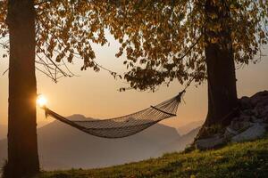 hamac colline avec des arbres photo