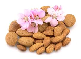 amandes avec fleur photo