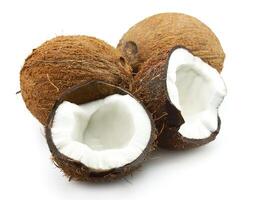 noix de coco sur blanc arrière-plans photo