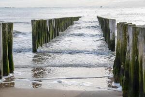 brise-lames en bois piles protéger le côte photo