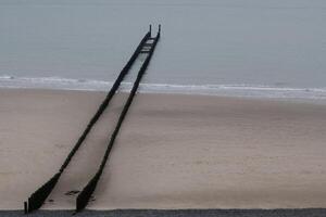 vieux en bois brise-lames sur le Nord mer dans Zélande Pays-Bas photo