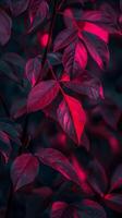 ai généré vibrant rouge feuilles dans une rêveur foncé botanique scène photo