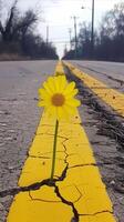 ai généré Jaune Marguerite prospère sur une fissuré route, symbole de espérer photo