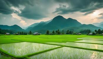 ai généré une magnifique paysage de riz des champs et montagnes photo