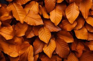 ai généré une pile de Orange et Jaune feuilles épars sur le sol, incorporant le essence de l'automne photo