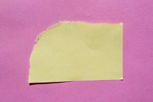 isolé déchiré papier pièce. déchiré Vide papier avec bords. photo