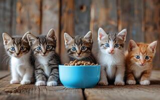 ai généré divers à motifs chatons adorablement lorgnant le caméra autour une bleu bol de nourriture photo