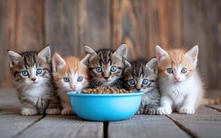 ai généré adorable chatons alentours une bleu nourriture bol coup d'oeil en haut avec diverse manteau motifs photo