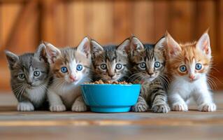 ai généré multicolore chatons regarder gentiment à le caméra tandis que bondé autour une bleu nourriture bol photo