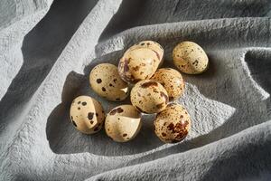 Caille des œufs sur une bleu tablier fermer. photo