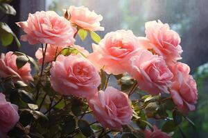 ai généré le enchanteur beauté de après le pluie rose des roses photo