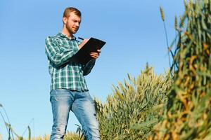 content mature technicien vérification le croissance de le blé pour une qualité contrôle dans une céréale champ dans été photo