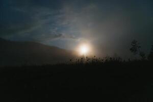 Montagne paysage pin des arbres près vallée et coloré forêt sur flanc de coteau en dessous de bleu ciel avec des nuages et brouillard dans lune lumière à nuit photo