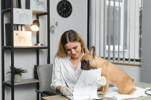 de bonne humeur Jeune vétérinaire prise se soucier et examiner une magnifique animal de compagnie chien français bouledogue photo