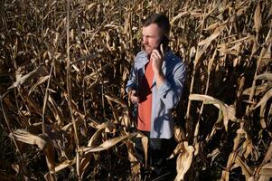 une homme inspecte une blé champ et regards pour nuisibles. réussi agriculteur et agro affaires photo