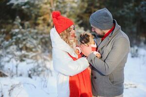 Jeune couple dans l'amour avec chien en marchant dans le neigeux forêt. photo