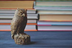 hibou et livres. sagesse Contexte. photo