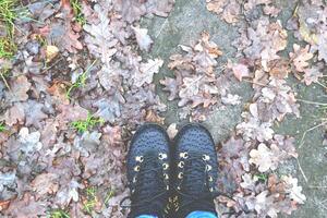 marcher dans le forêt. l'automne des promenades photo