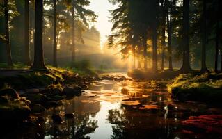 ai généré magnifique paysage forêt à Aube dans le doux lumière de le en hausse Soleil lumière stries à travers ruisseaux et rochers. d'or lueur pendant le captivant le coucher du soleil photo