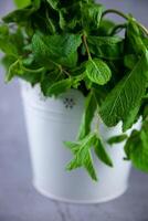 bouquet de menthe dans une blanc vase sur une gris Contexte. endroit pour texte. vert menthe feuilles dans une pot. parfumé plante - un ingrédient dans cuisine pour des cocktails Mojito, limonade, thé. copie espace. photo