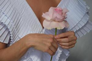 fille la mariée dans une blanc robe avec une magnifique encolure et une rose Rose fleur. photo