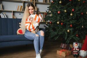 magnifique femme est assis sur une ancien canapé avec chien. sur une Contexte de une Noël arbre dans une décoré chambre. content Nouveau année photo