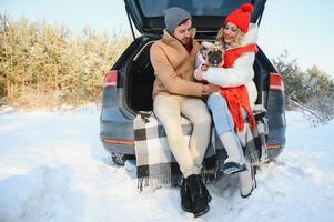 souriant couple avec chien séance dans ouvert suv voiture tronc dans neigeux forêt. profiter chaque autre dans actif hiver vacances. photo