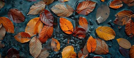 ai généré une proche en haut de coloré feuilles par le bord de la route photo