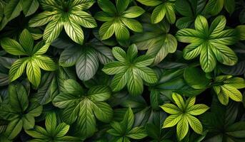 ai généré une coup de beaucoup de tropical feuilles photo