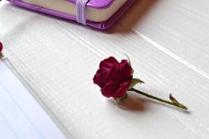 bouton de rose sur le blanc en bois bureau. ancien Contexte. photo