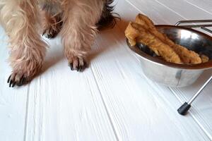 chiens pattes près aliments. photo