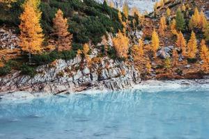 jour d'automne dans les montagnes majestueuses. arbres de couleur jaune sur les rochers. beau lac de cristal bleu photo