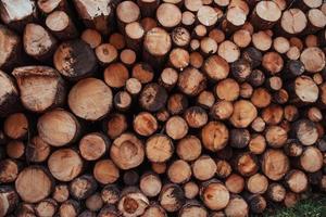 pile de bois. vue rapprochée de l'avant de nombreuses bûches préparées pour l'hiver. fond de nature photo