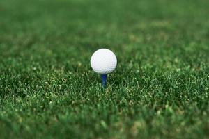 La photo en gros plan d'une balle de golf debout sur la broche dans la pelouse verte